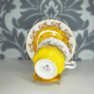 YELLOW REGAL SERIES - Royal Albert Bone China